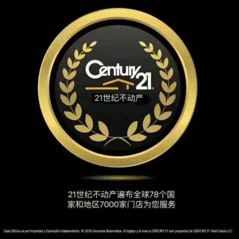 深圳实业发展行业动态探析